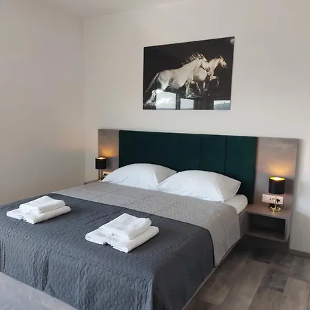 Vila House Patrick With Pool, Jacuzzi And Sauna Kornić